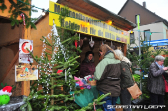 Weihnachtsmarkt 2024